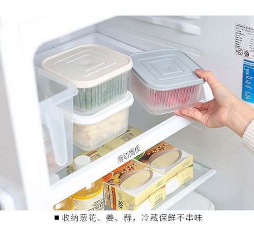 創(chuàng)意廚房好物 點(diǎn)亮烹飪樂趣，提升家居幸福感